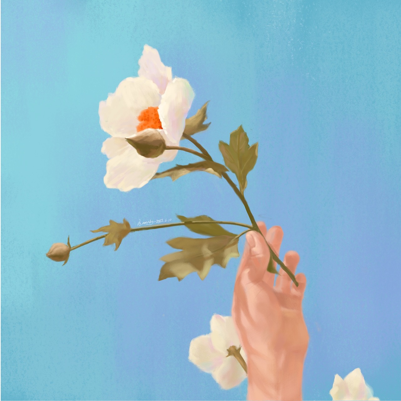 【procreate】小插圖1（圖ZMjk0OTMxODY0） - 商業(yè)插畫 - 站酷設(shè)計(jì)師要急支糖漿嗎原創(chuàng)素材 - 站酷ZCOOL