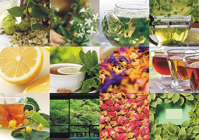 自然的灵物-浩玥花草茶/starbrand势达创意营销作品