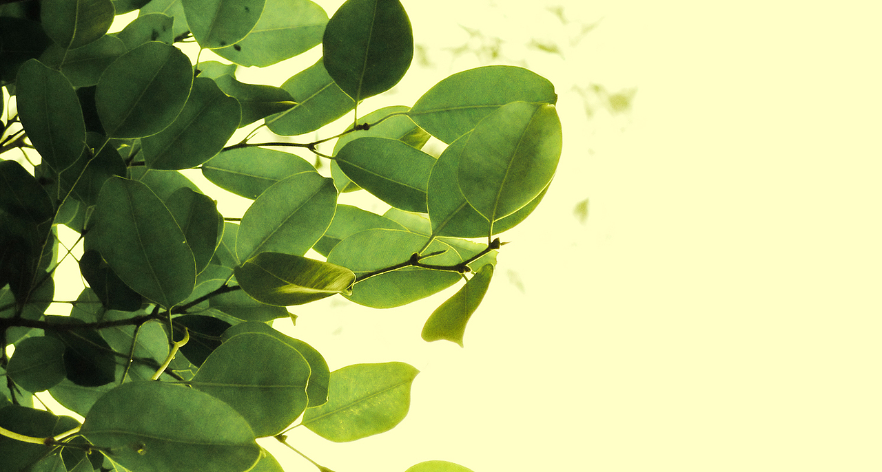 我在的城市（图ZMzAyNjc3Mg==） - 风光摄影 - 站酷设计师一居久永留一原创素材 - 站酷ZCOOL