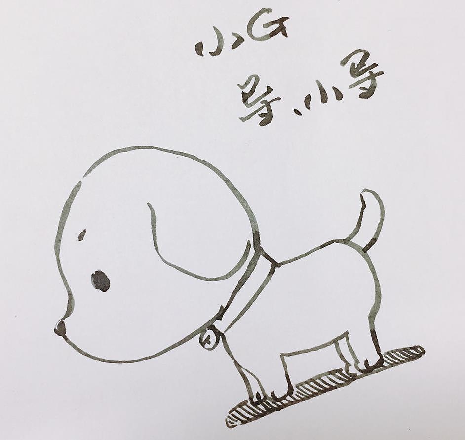 导盲犬卡通吉祥物公仔设计——"小导"