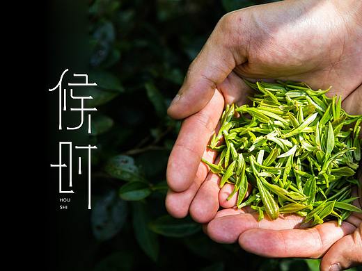 #候时  高端茶室 文化交流馆logo设计
