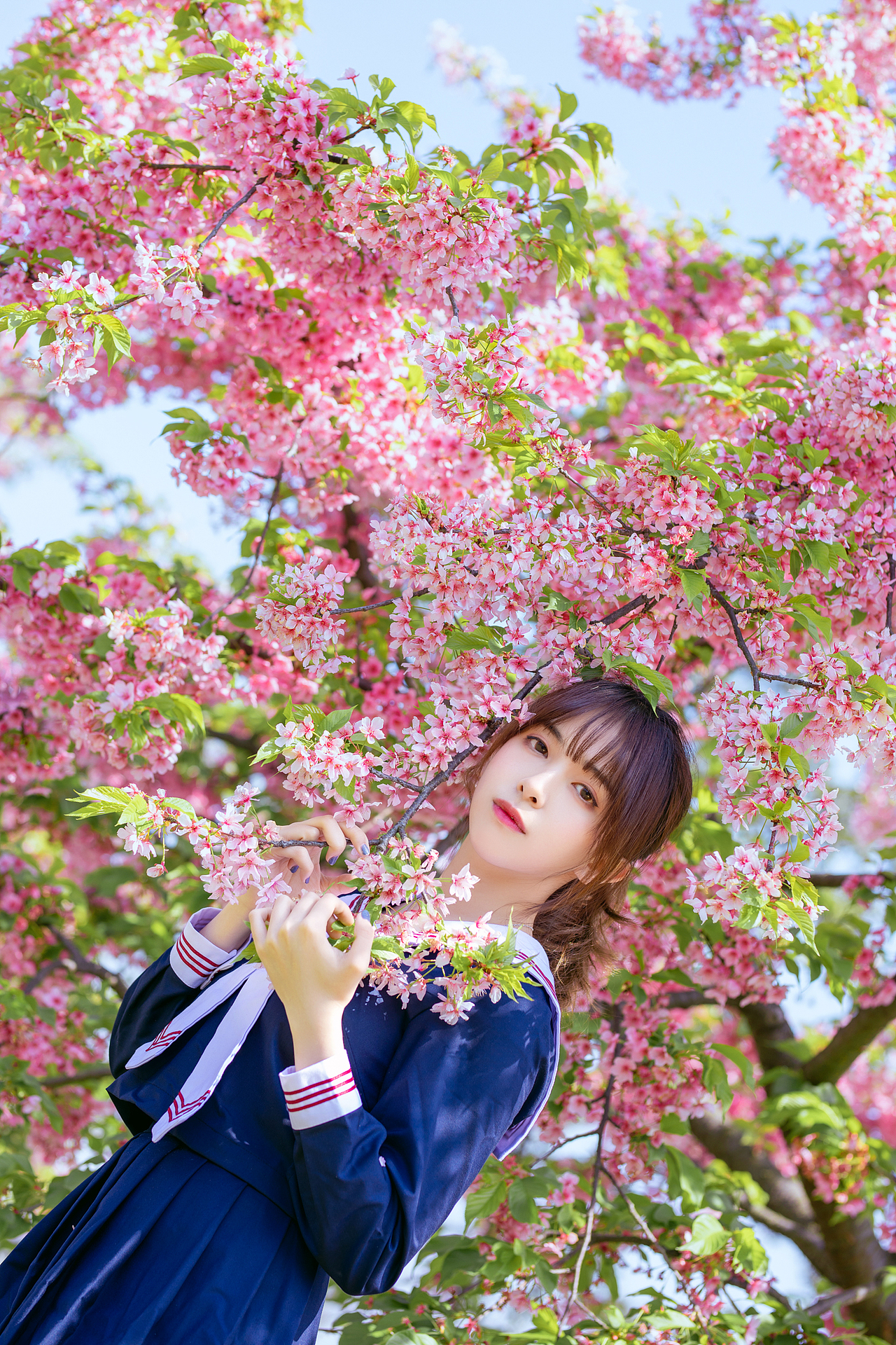 樱花少女（图ZMTU5NTY4MDY0） - 人像摄影 - 站酷设计师宝藏摄影JY原创素材 - 站酷ZCOOL