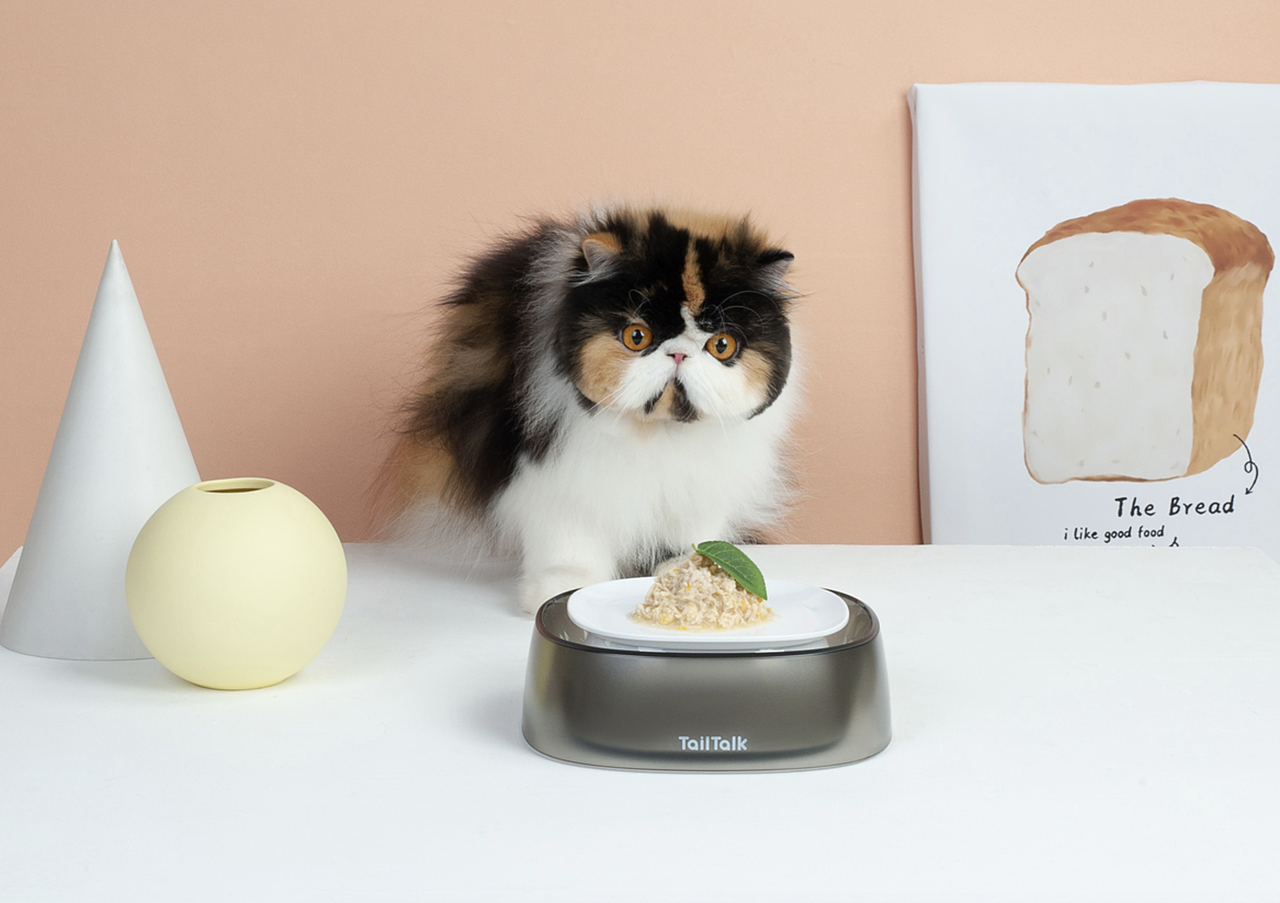 宠物产品拍摄 TailTalk麻球说宠物防溢碗