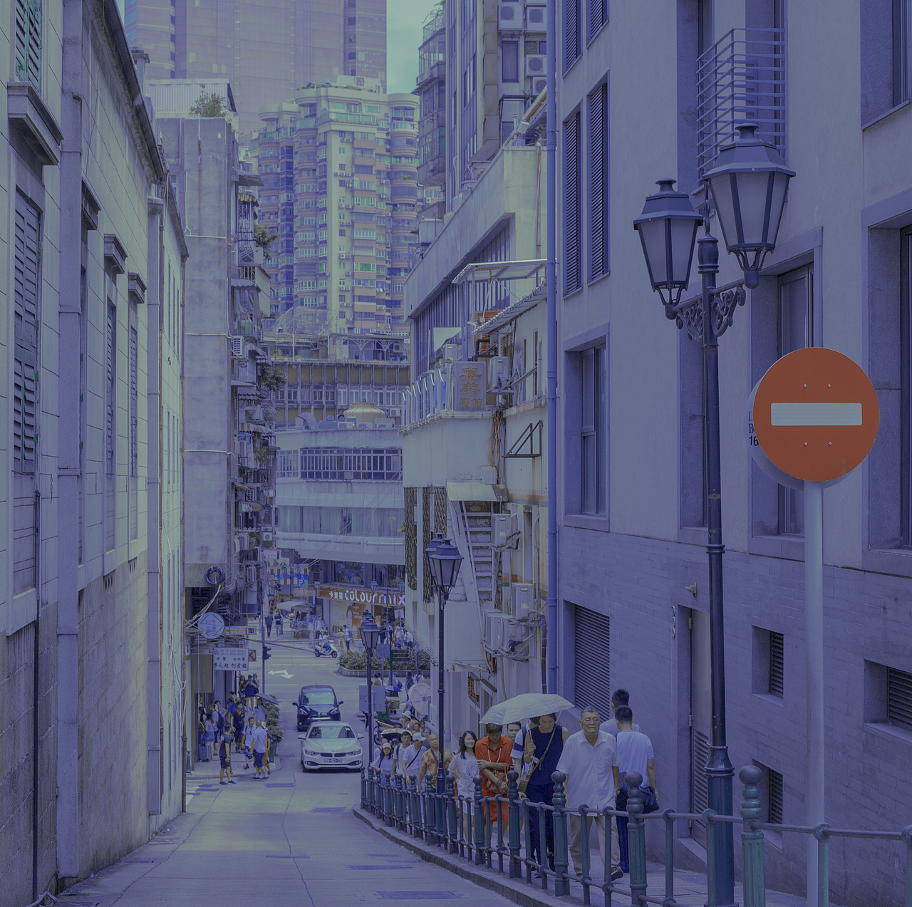 不知所云的照片