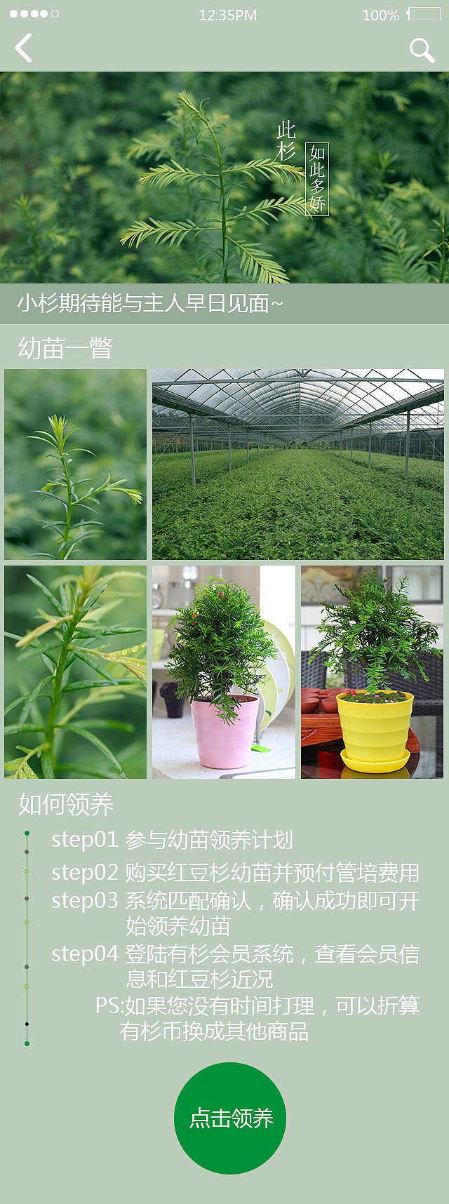 红豆杉app页面（图ZMzY2NTQ4OTY=） - 移动端网页 - 站酷设计师litialun原创素材 - 站酷ZCOOL