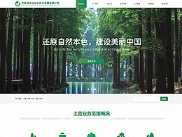 网页