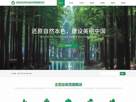 巢湖市友林林業(yè)企業(yè)官網(wǎng)（個人主頁-ZNTU4NTQ5NDQ=） - 企業(yè)官網(wǎng) - 站酷設(shè)計師annQL原創(chuàng)素材 - 站酷ZCOOL