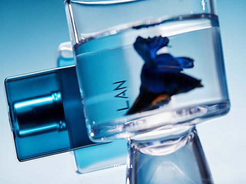 LAN X Sensory Art studio