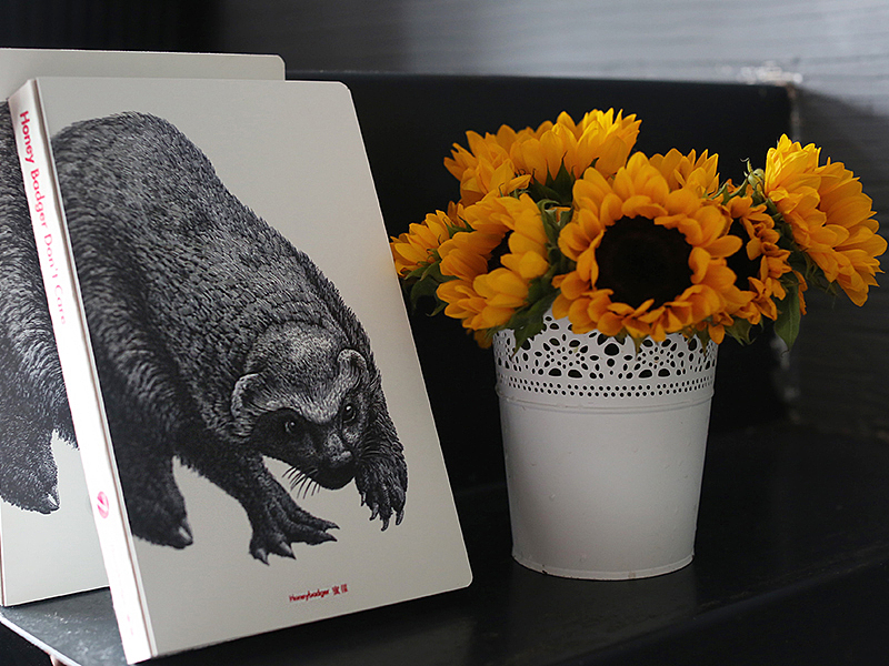 《蜜獾》—傅淳强硬笔画系列笔记本