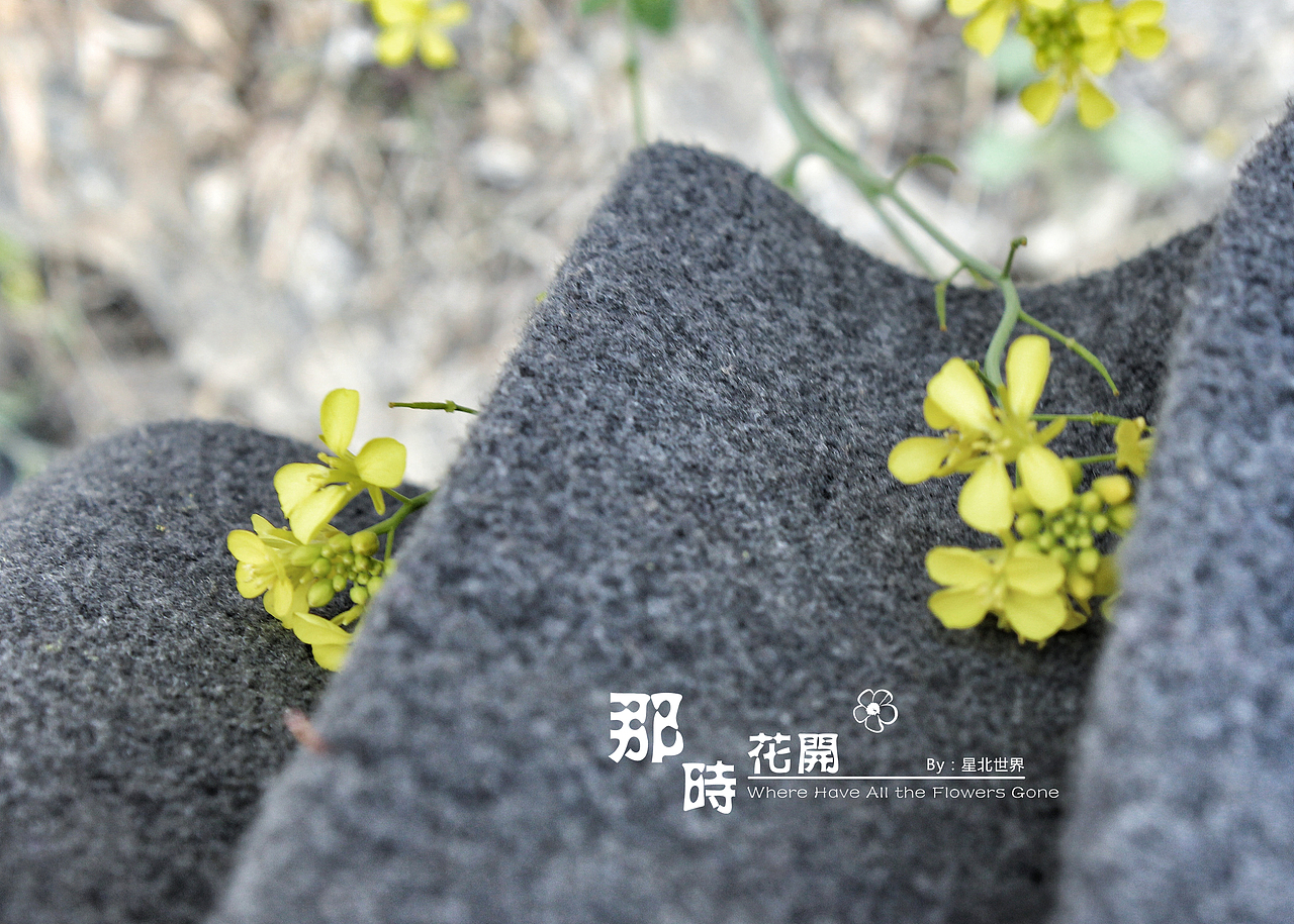 未闻花名——那时花开（二）（图ZNzQ4ODk5NTY=） - 修图/后期 - 站酷设计师星北世界原创素材 - 站酷ZCOOL