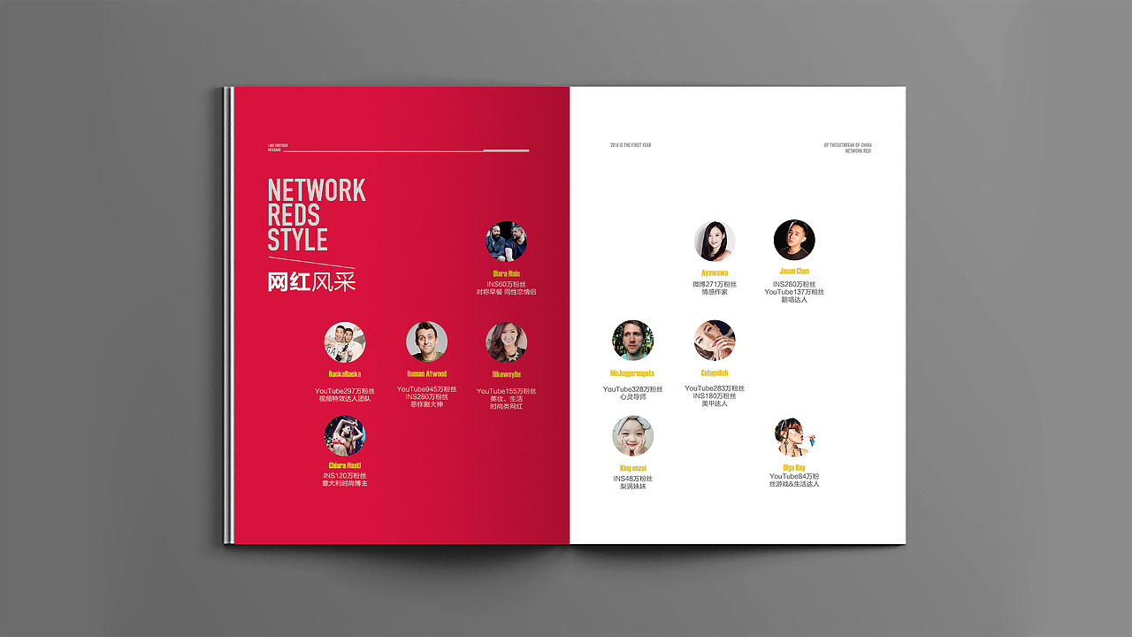 网红画册