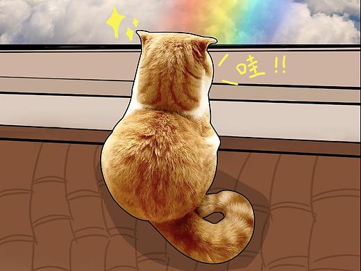 樂(lè)悅貓店鋪首頁(yè)裝修（個(gè)人主頁(yè)-ZNDQzNTA1MzY=） - 其他平面 - 站酷設(shè)計(jì)師邱鴻宇原創(chuàng)素材 - 站酷ZCOOL