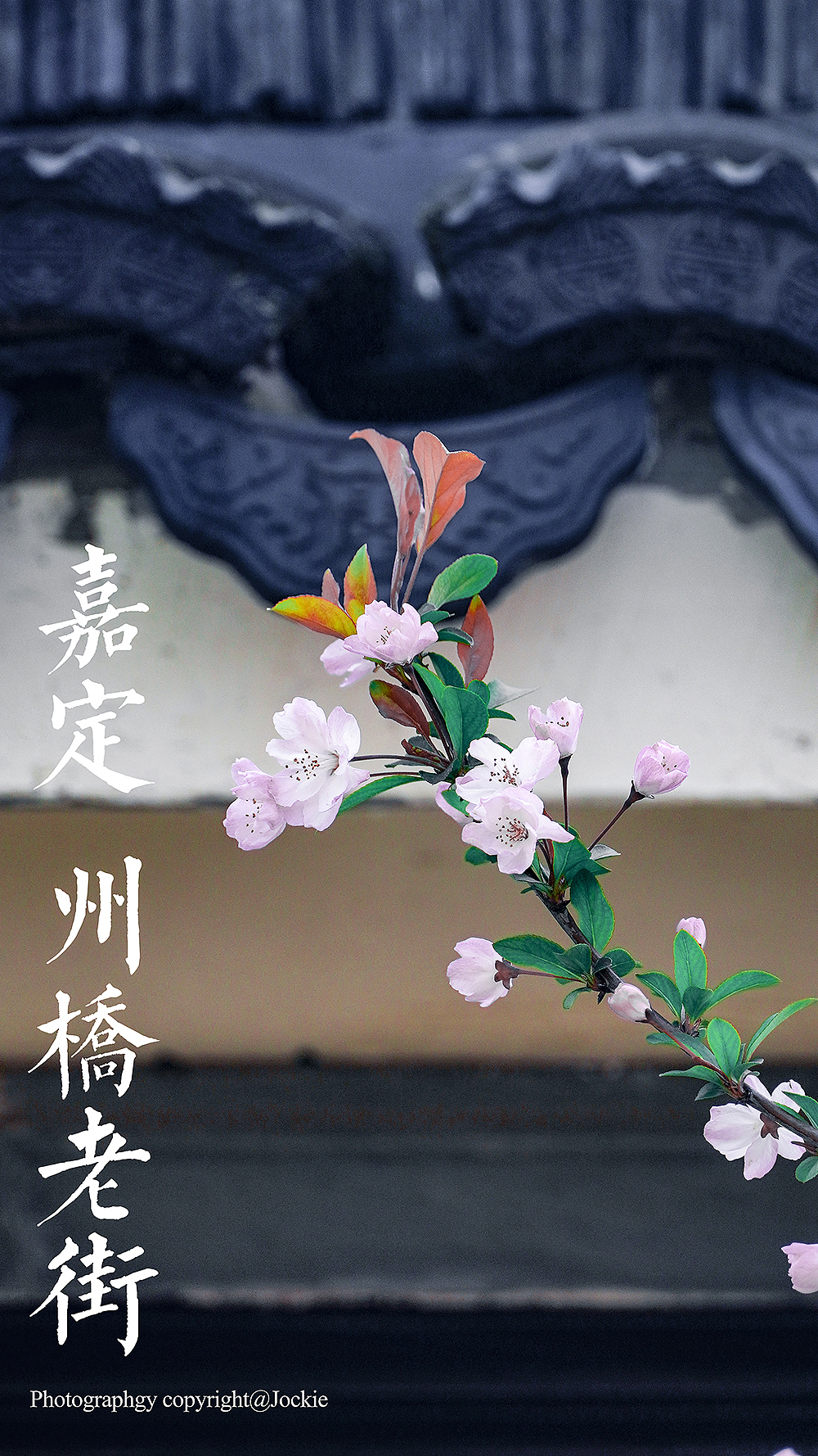江南古镇，嘉定州桥（图ZMjExOTUyMzY4） - 风光摄影 - 站酷设计师Jockie_原创素材 - 站酷ZCOOL