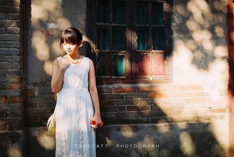 那年夏天(胶片版)