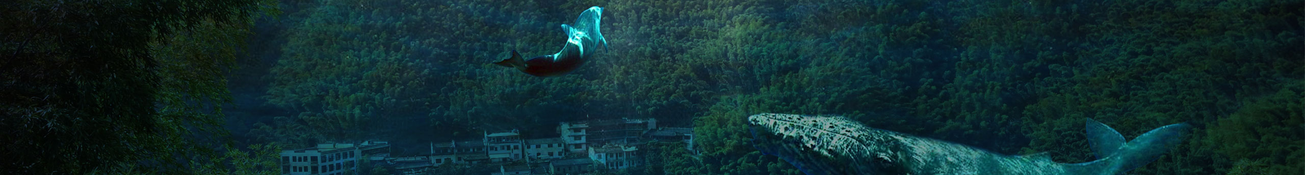 如释l的个人主页（封面预览） - 主页封面设置 - 站酷设计师如释l原创素材 - 站酷ZCOOL