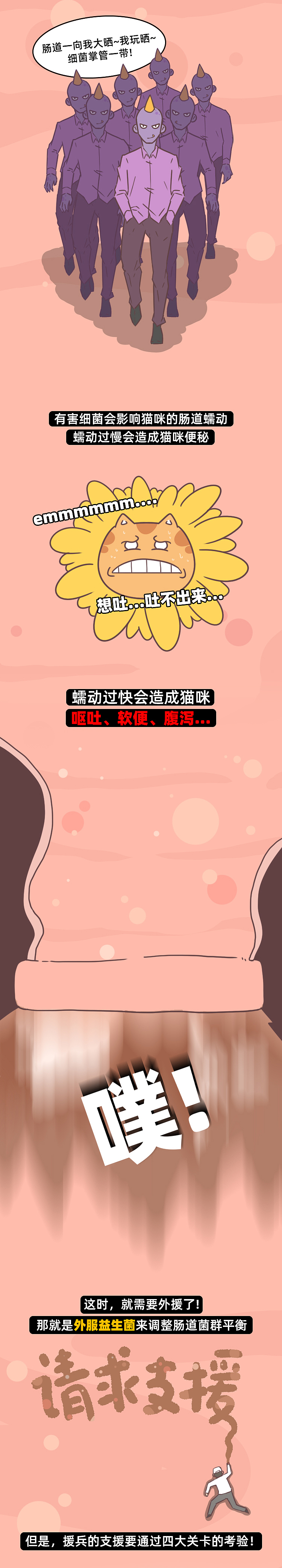 我家猫企图用屎暗杀我