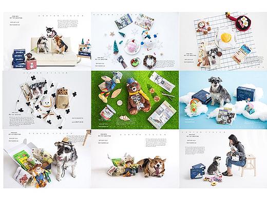 pawbox宠物用品拍摄
