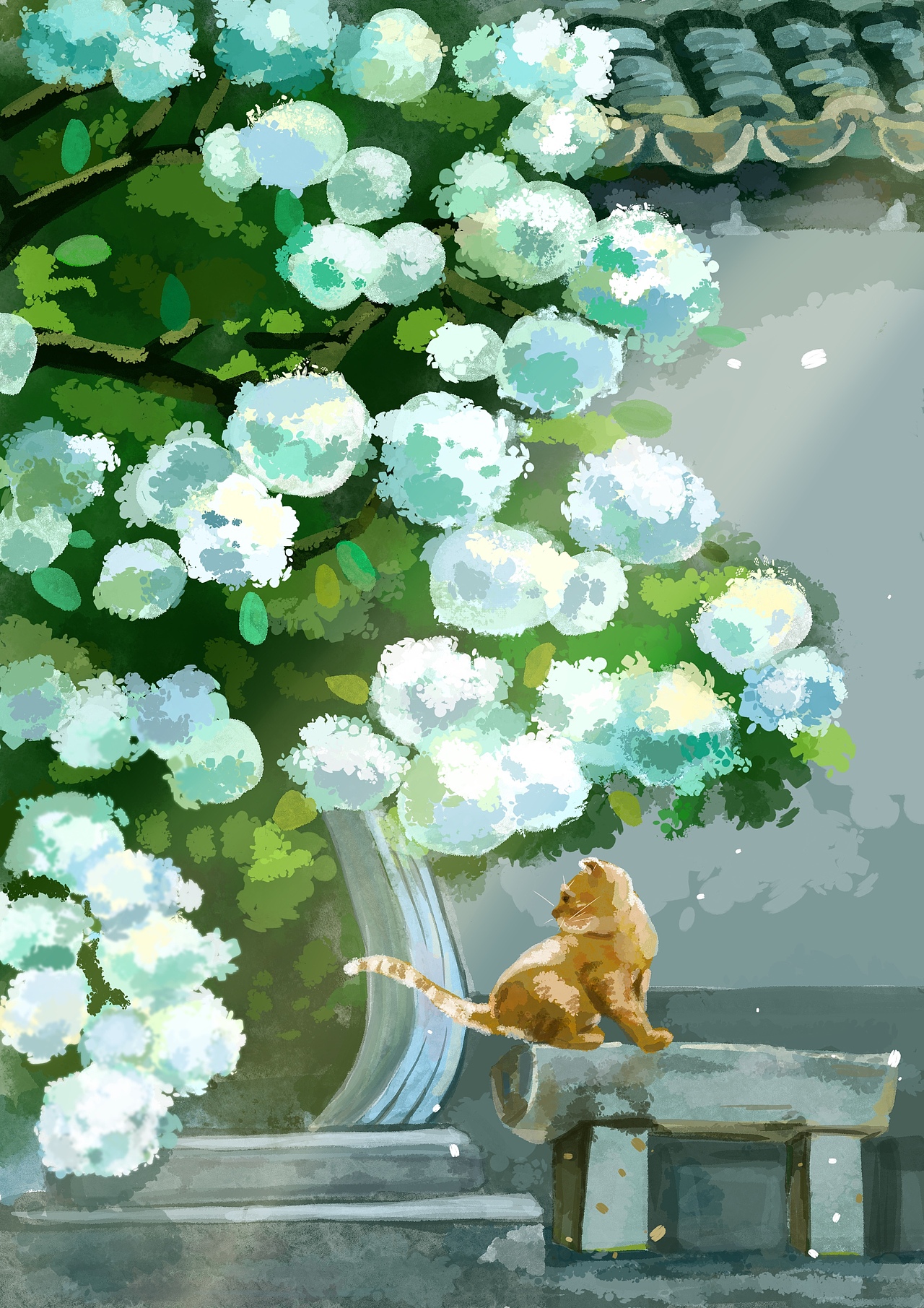 木绣球与小橘猫系列插画