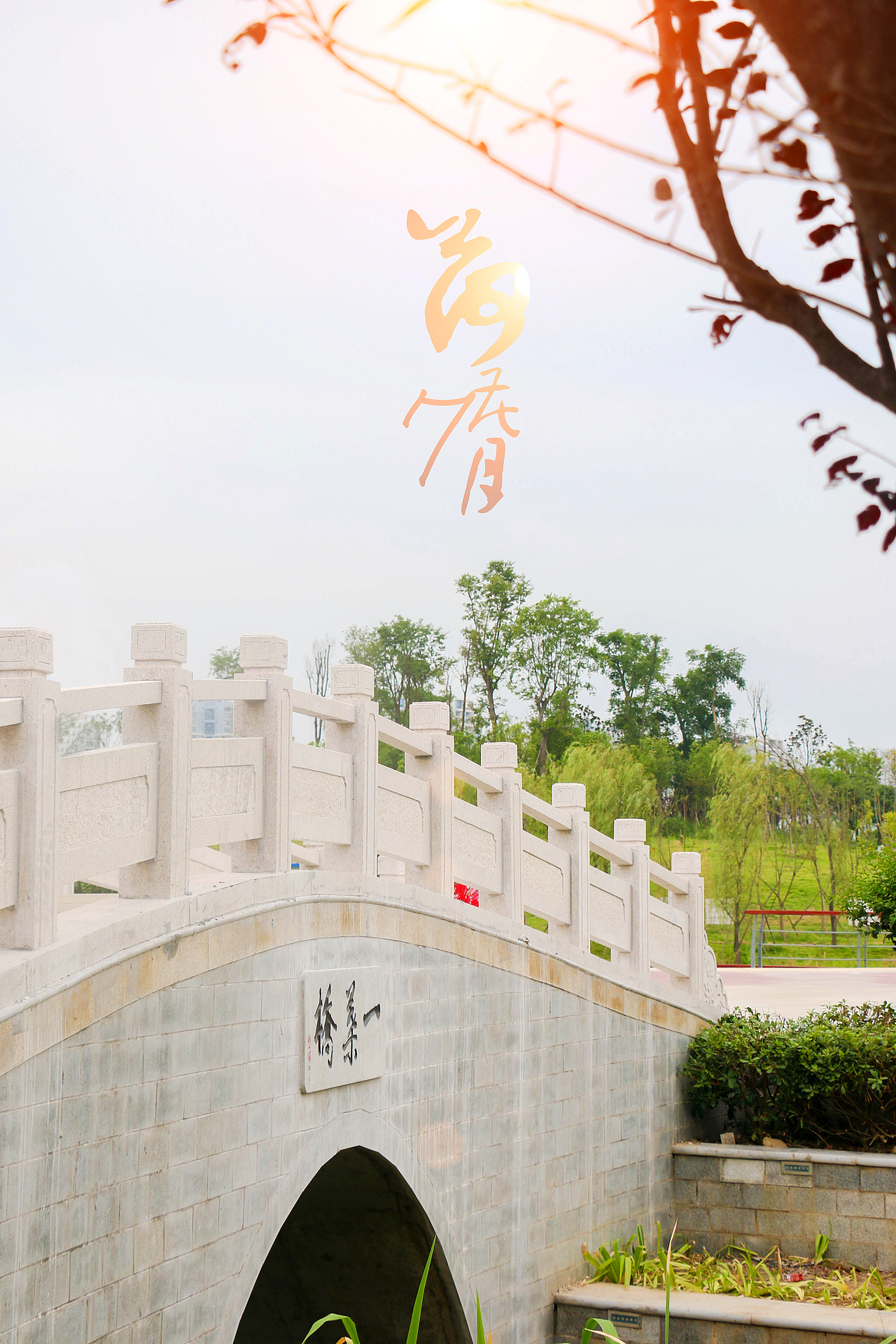 荷花七月（图ZMzE3NTU2MzI=） - 产品摄影 - 站酷设计师七一安原创素材 - 站酷ZCOOL