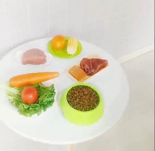 宠物狗粮拍摄花絮淘宝视频拍摄石家庄周边拼多多拍照