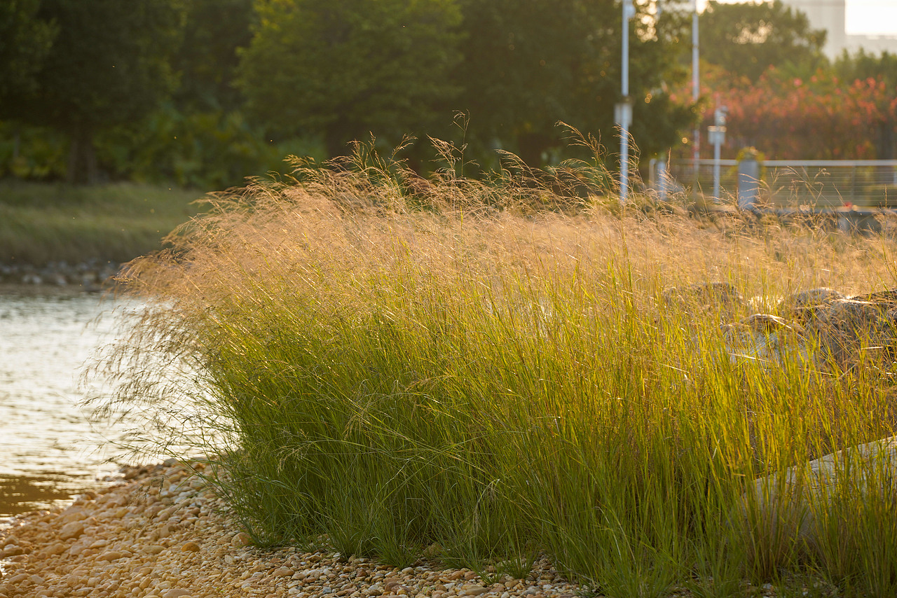 户外风光摄影-生活中处处是美景