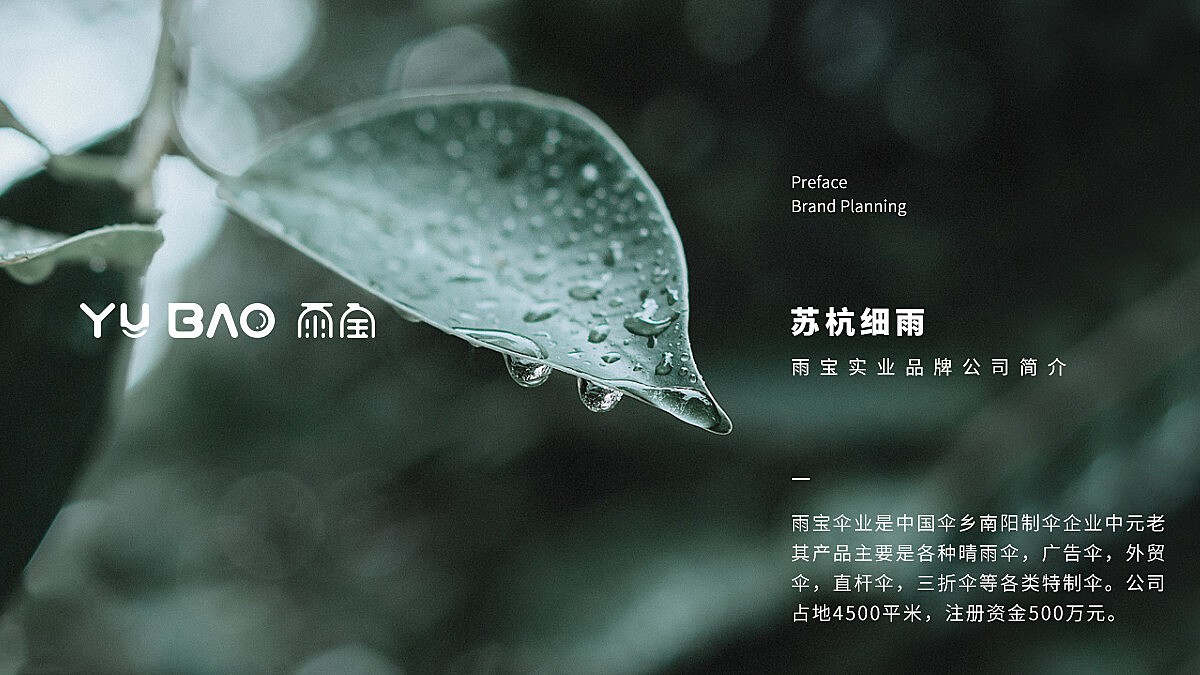 雨宝LOGO企业品牌VI策划案例 章小白