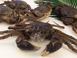 阳澄湖大闸蟹外包装+礼品券礼品卡设计