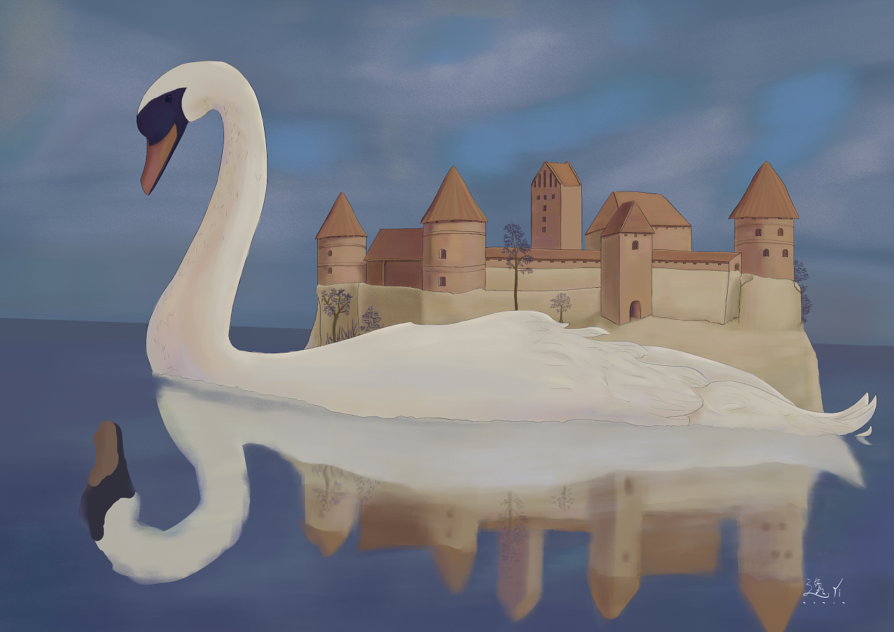 最近设计的动物系类插画二 天鹅