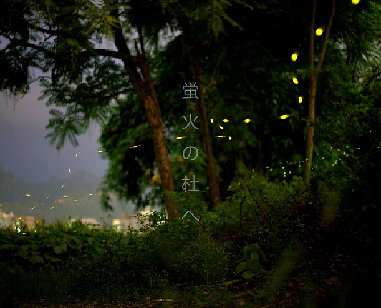 【日本】【东京】夜景大赏、海之日--烟火大会。_哔哩哔哩_bilibili
