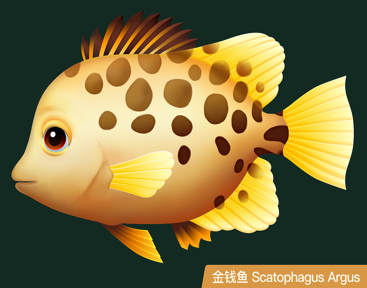 Mahjong Aquarium-3D Fish原画及三维贴图