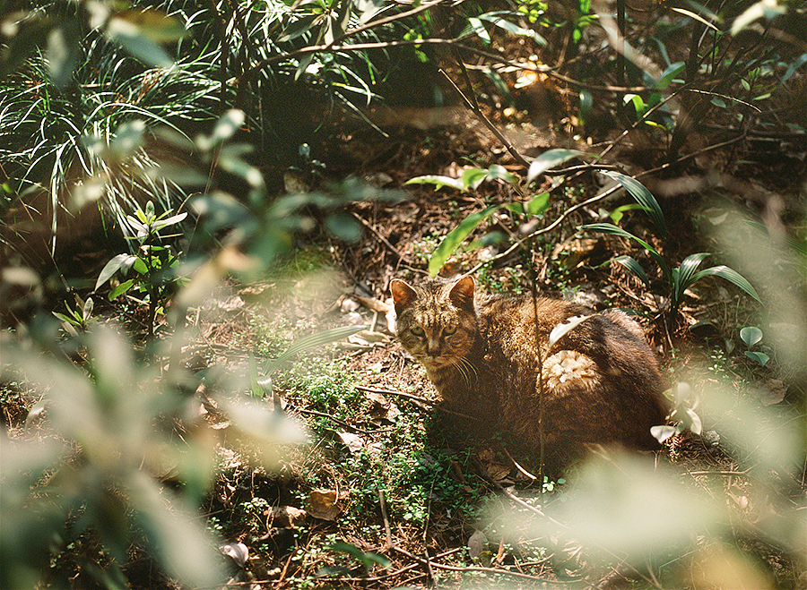 只为记录，不为胜利（图ZMjQ1NTE2NjQ=） - 人文/纪实摄影 - 站酷设计师觉纪原创素材 - 站酷ZCOOL