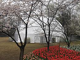 杭州太子灣之酒店帳篷