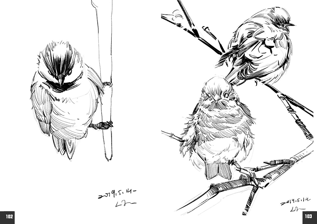 2019速写簿（图ZMTkyODg0MDg4） - 绘画 - 站酷设计师半岛酒徒原创素材 - 站酷ZCOOL