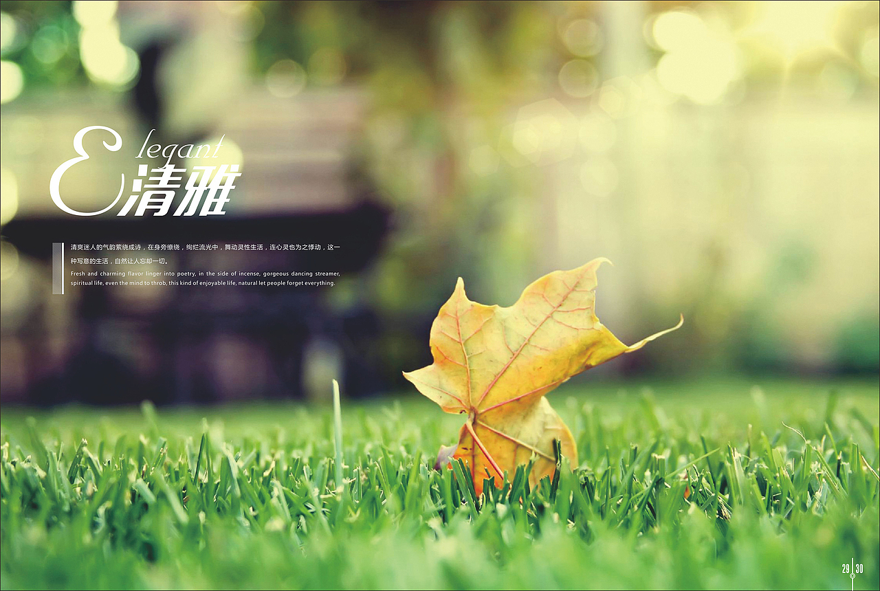 典美陶瓷-木纹砖画册（图ZNjc3MzI3ODA=） - 书籍/画册 - 站酷设计师vijun原创素材 - 站酷ZCOOL