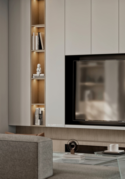 客厅（电视沙发背景墙、天花）