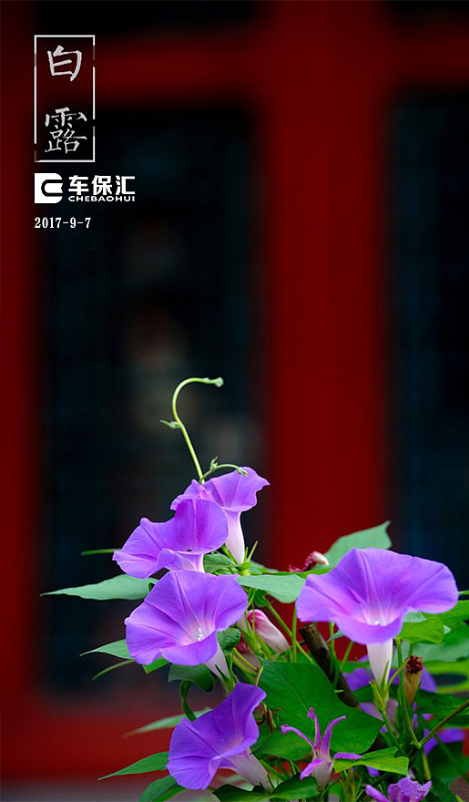 朋友圈（图ZOTEzNzc2MTY=） - 宣传物料 - 站酷设计师薛福爱原创素材 - 站酷ZCOOL