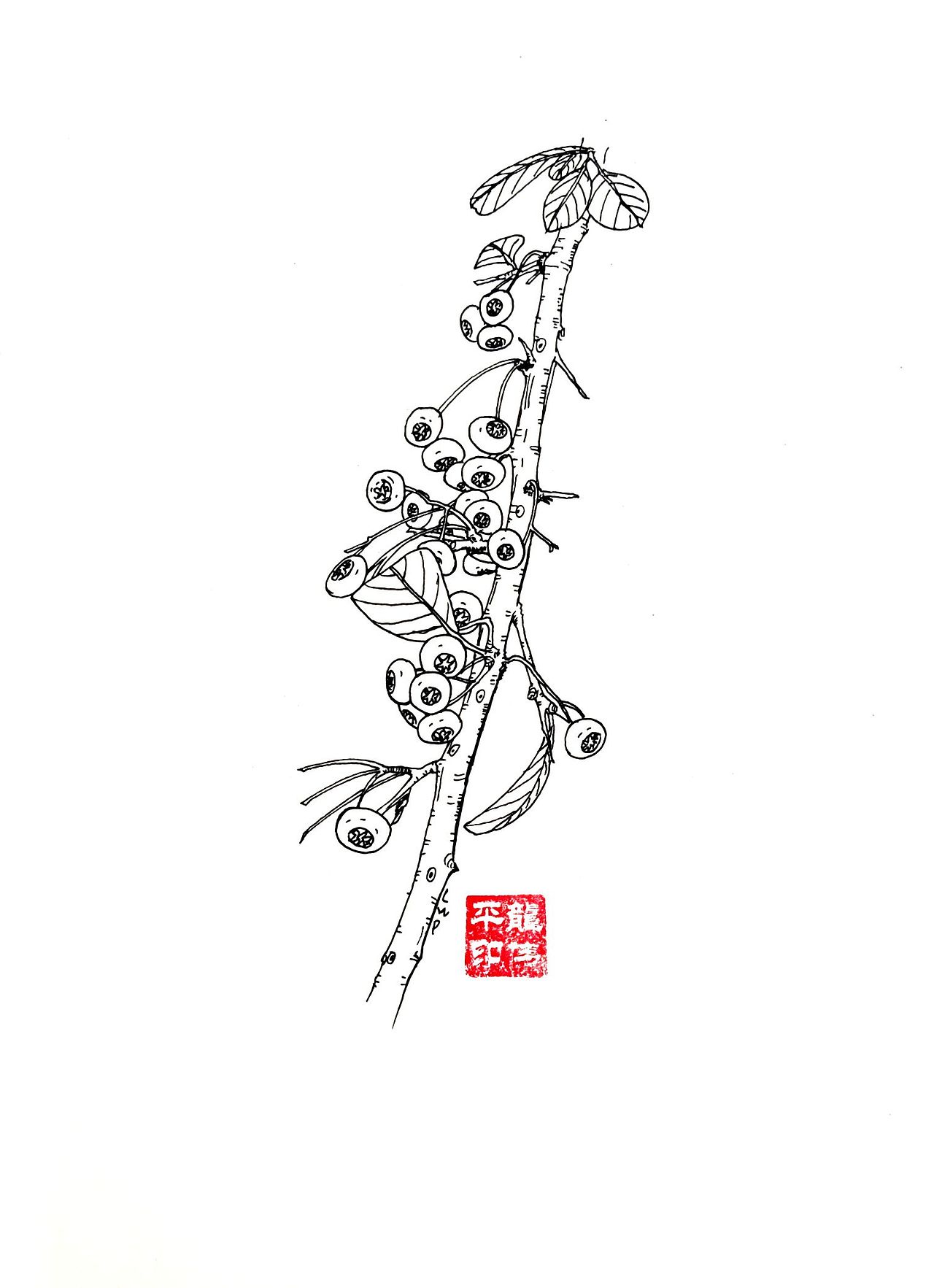 《百草记》系列插画（图ZMzYzNDY5NTYw） - 艺术插画 - 站酷设计师龙伟平原创素材 - 站酷ZCOOL