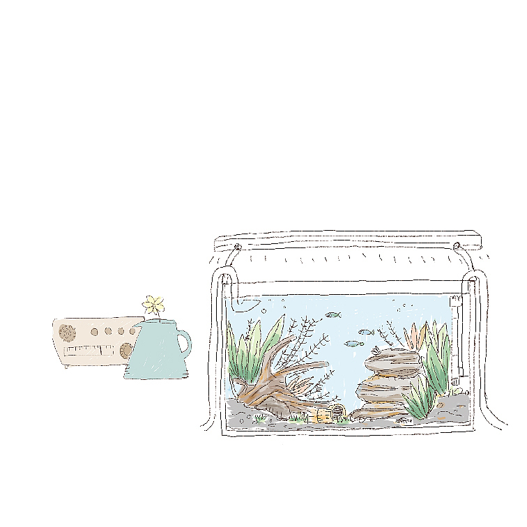 夏至
<br>———————————————分割线———————————————————