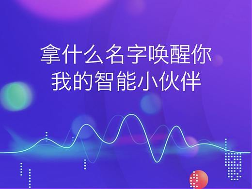 拿什么名字唤醒你？我的智能小伙伴