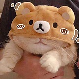IZCAT的头像