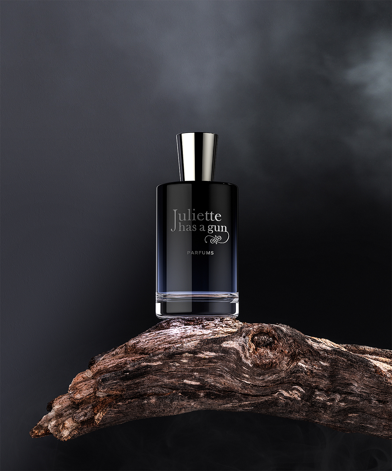 产品渲染-花植物系列