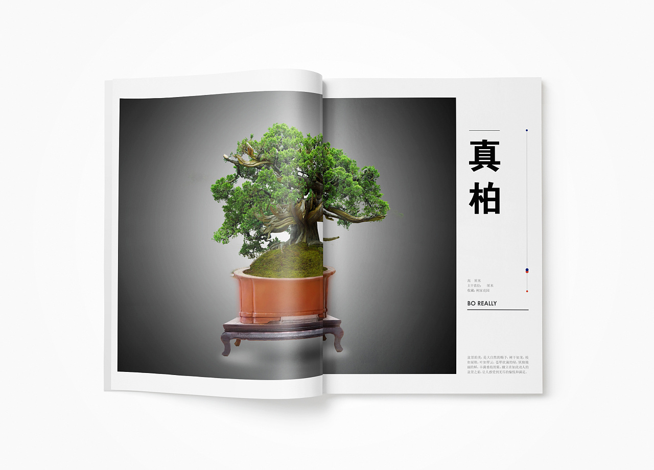 中国盆景画册