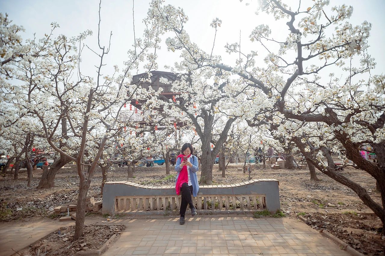 三月二十六日东南温梨园采风