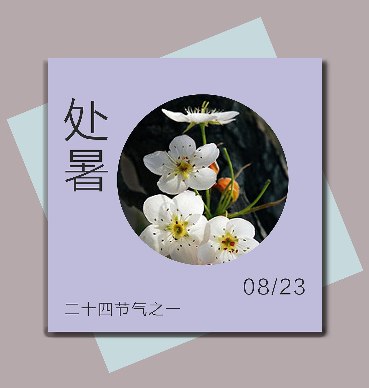 二十四节气（图ZOTg0MDc2MjA=） - 其他平面 - 站酷设计师陈陈陈大锤原创素材 - 站酷ZCOOL
