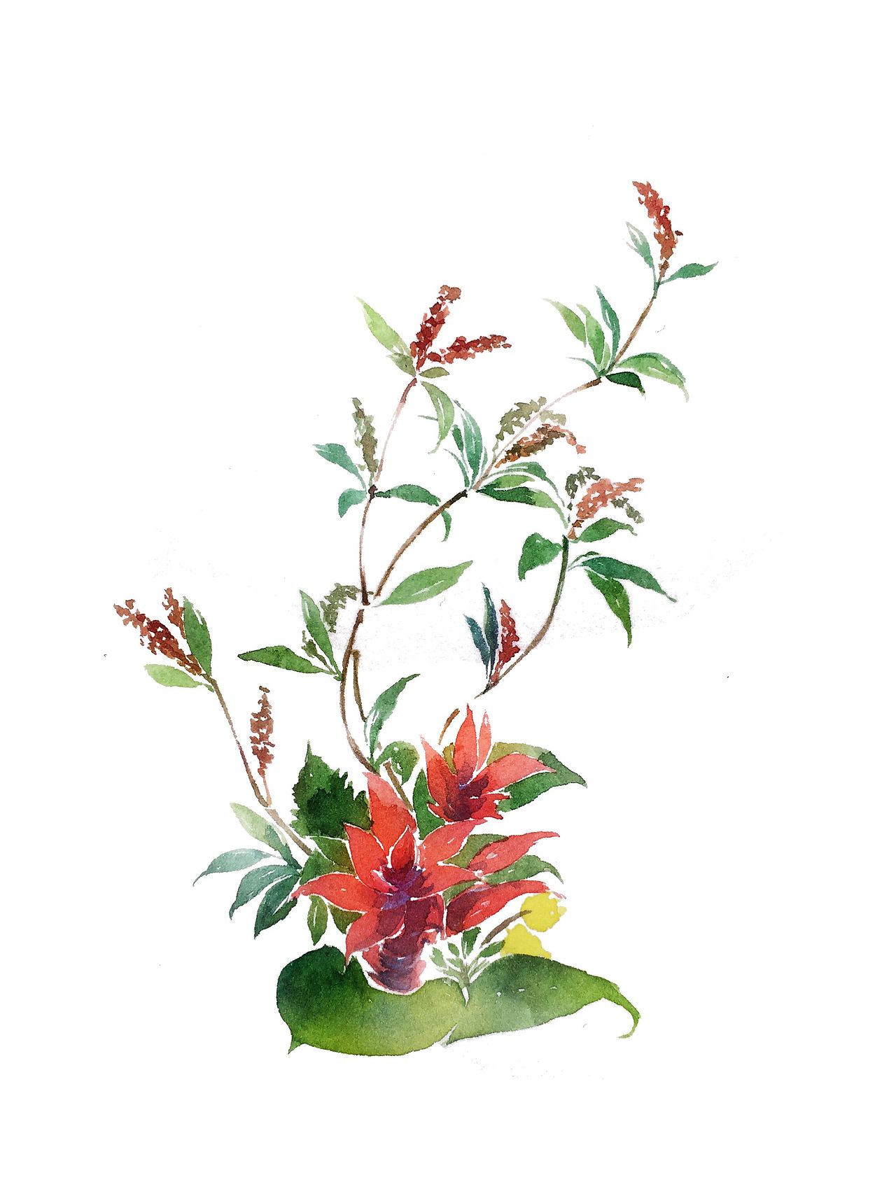 插花主题(水彩)