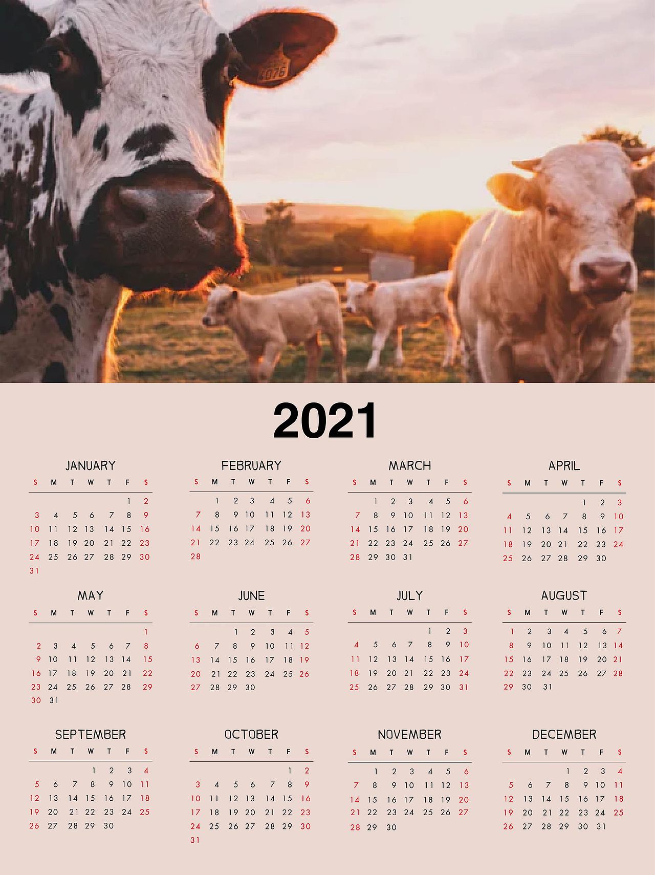 2021年牛年年历挂历（图ZMjMwNDAyMzg4） - 海报 - 站酷设计师CANDYRICECYY原创素材 - 站酷ZCOOL