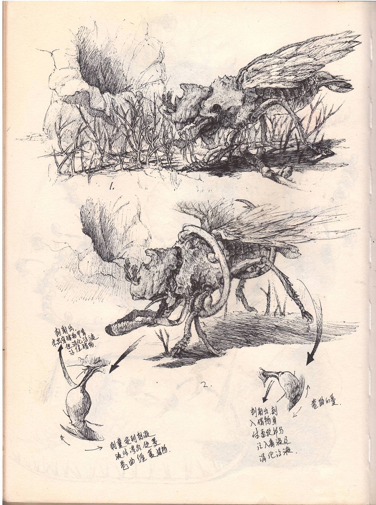 卡桑德拉生物志