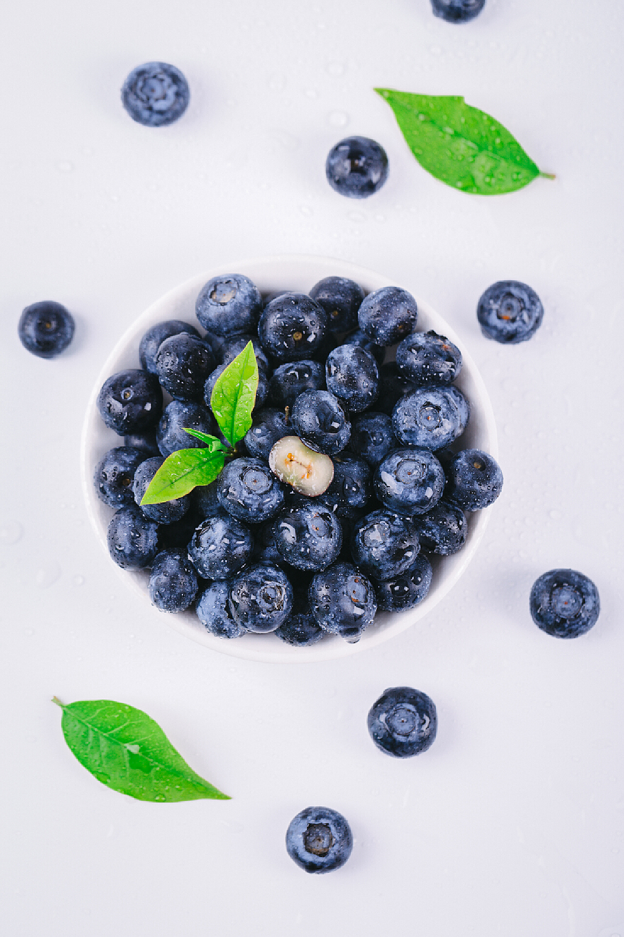 蓝莓有哪些品种，蓝莓品种区别|admin_人人点