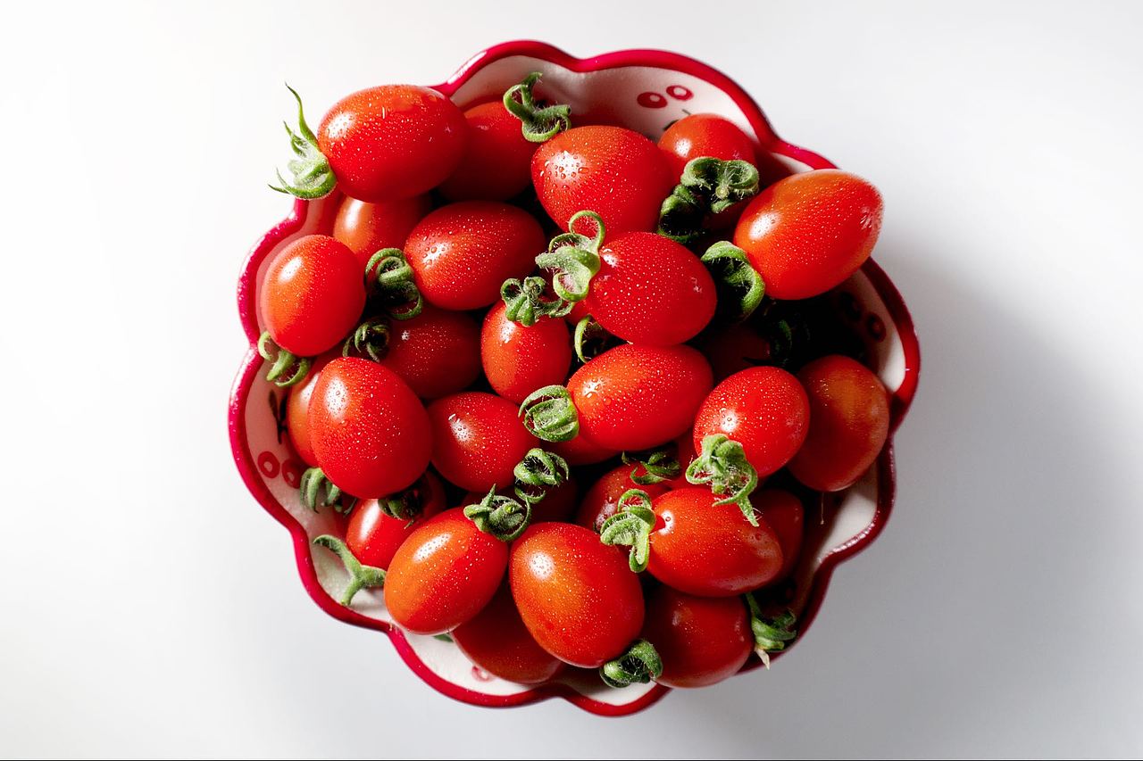 【小番茄】第一次拍摄