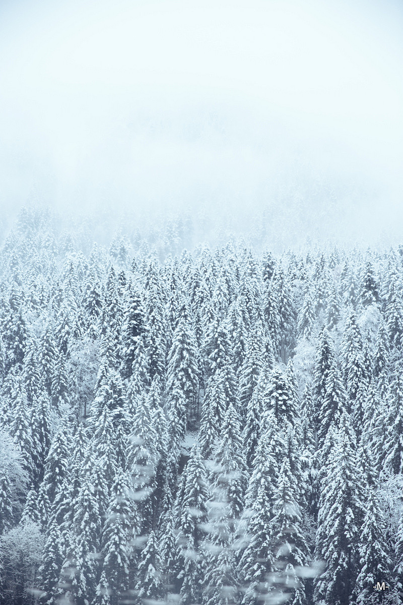 一路积雪的山脉树林间，匆匆驶过未曾停留，虽然我真的非常想停留在这里不再疾行而去OAO